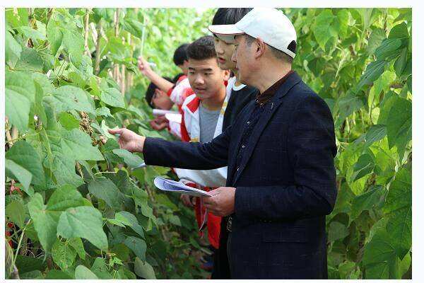 {�F(xi��n)���r(n��ng)ˇ���g(sh��)