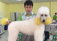 {��h���н��O(sh��)�W(xu��)Ժ�����F�t(y��)���I(y��)��B